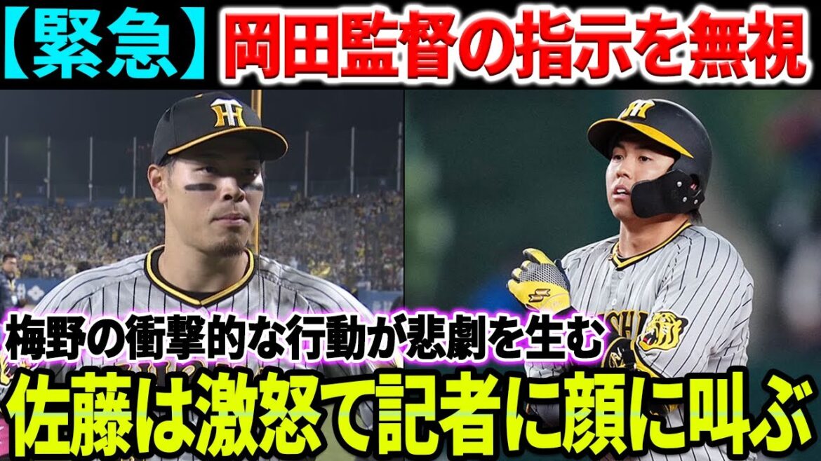 【緊急速報】『戦犯扱いは許さない！』佐藤輝明が怒りを爆発させ、記者の顔に向かって叫んだ！岡田監督の指示を無視した梅野の行動の背後にある真実は悲劇を引き起こ！