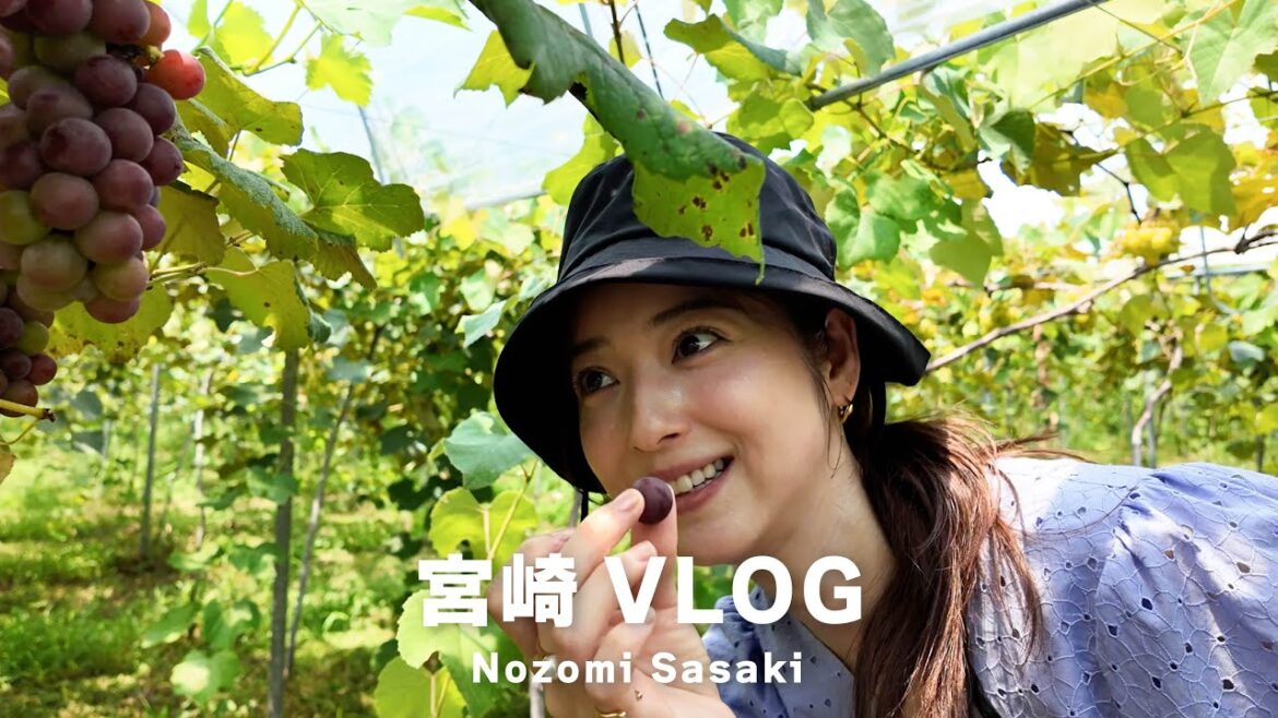 オフの日の旅行Vlog｜宮崎県でおいしいものと自然に癒されてきました🌿