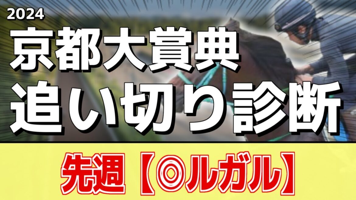 追い切り徹底解説！【京都大賞典2024】ブローザホーン、サトノグランツなどの状態はどうか？調教S評価は2頭！