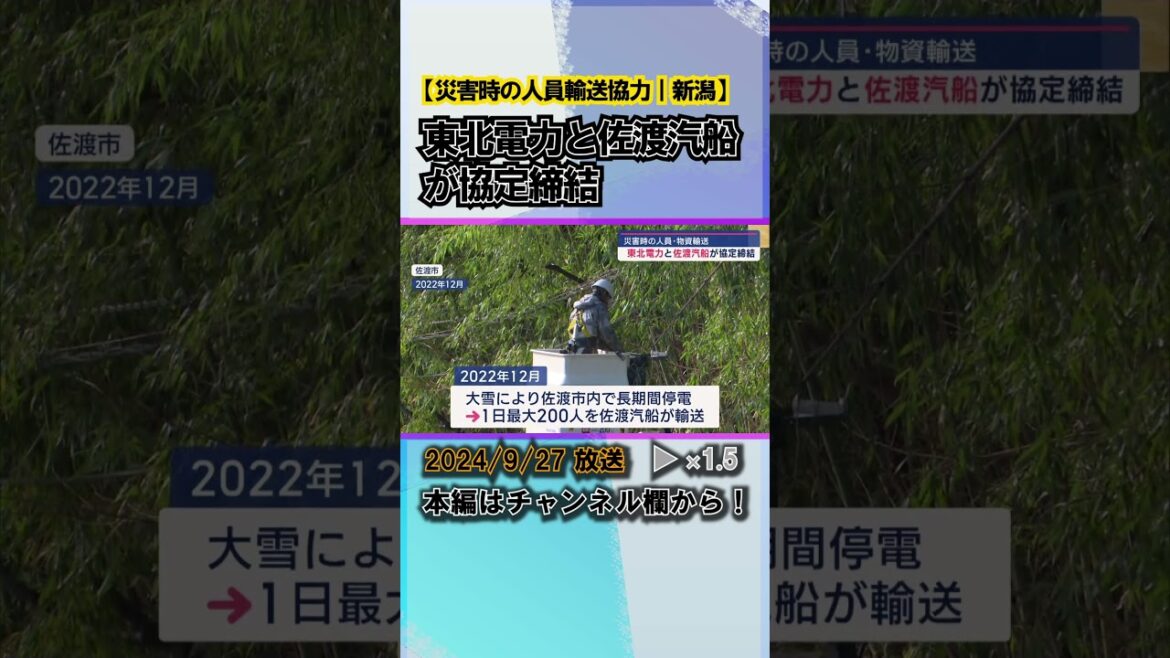 災害時の人員･物資輸送に協力－東北電力と佐渡汽船が協定締結 #news #short  #ux新潟テレビ21 #新潟