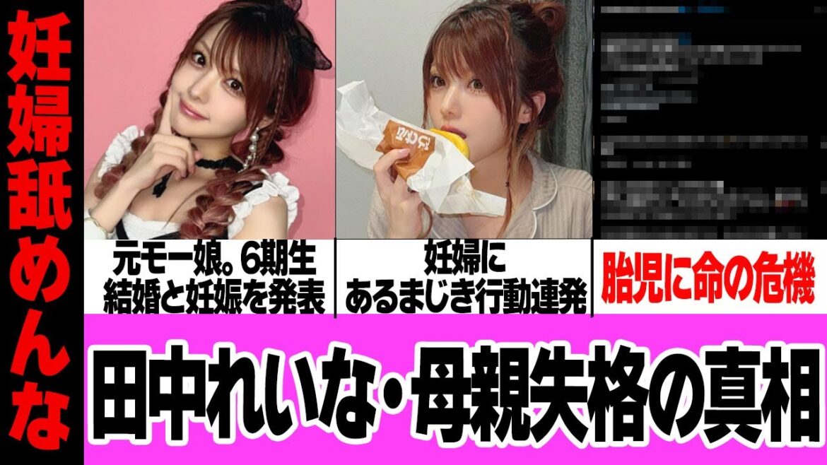 田中れいなの”母親失格”の姿…SNSに連投「妊婦にあるまじき」行為で胎児に命の危機でヤバい！元モーニング娘。6期生の周囲ガン無視厚顔無恥な現在の様子に絶句【芸能】