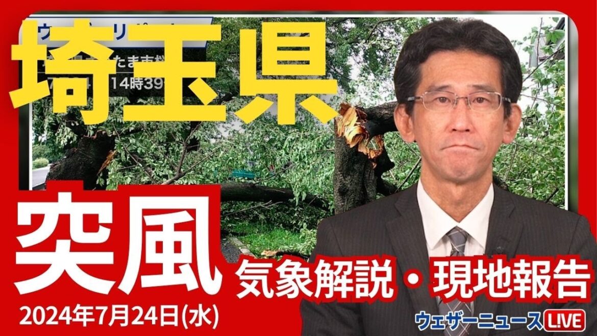 【気象解説】埼玉県の突風被害・現地報告 2024年7月24日(水)ウェザーニュース予報センター 【気象解説】埼玉県の突風被害・現地報告 2024年7月24日(水)ウェザーニュース予報センター