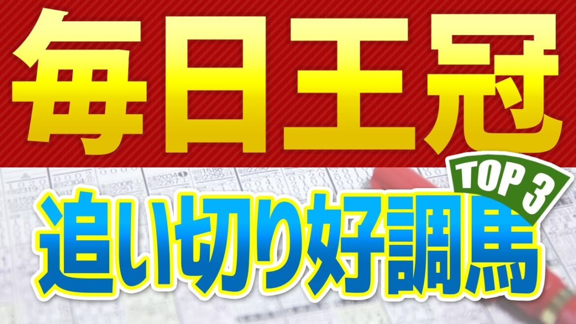 【毎日王冠2024】追い切り・調教が高評価だった「トップ3」はこの馬だ🐴 ～JRA競馬予想～