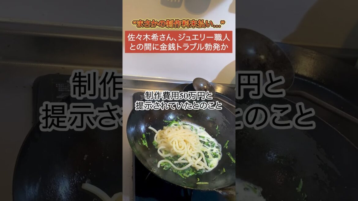 【物議】佐々木希さん、ジュエリー職人との間に金銭トラブル勃発か...