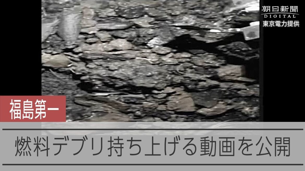 福島第一原発2号機の燃料デブリ取り出し　公開後に映像トラブルで作業中断、再開は見通せず