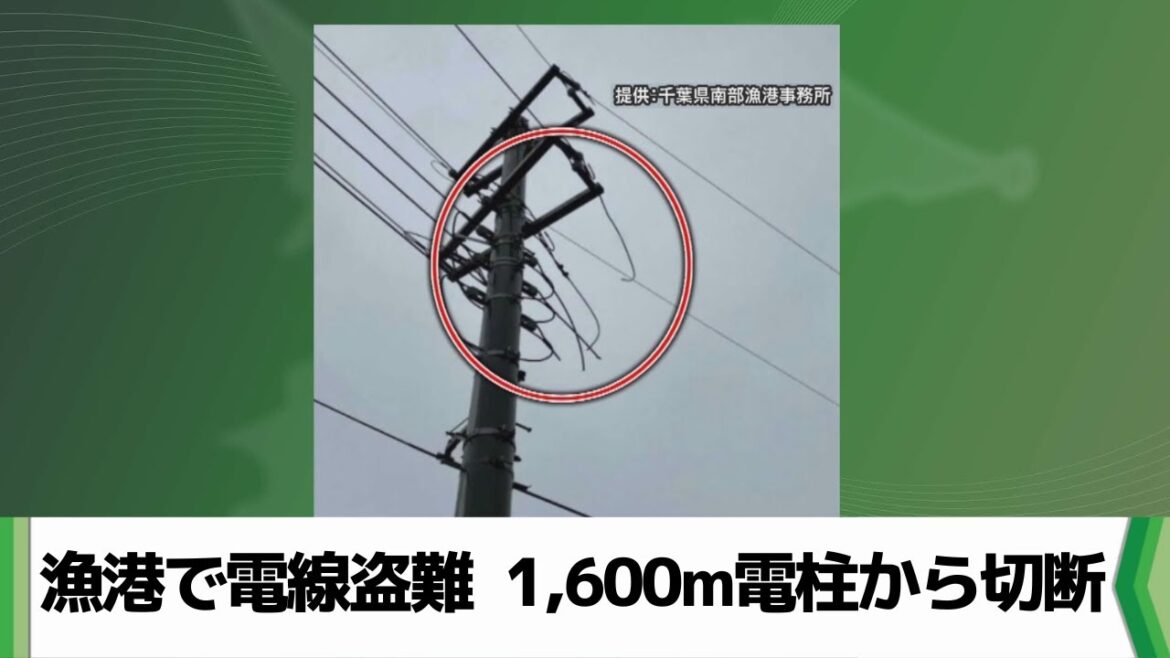 漁港で電線盗難　電柱から約１６００メートル切断される　千葉県鴨川市（2024.10.02放送）