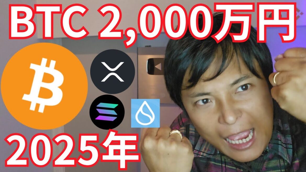 ビットコイン2025年2,000万円到達の条件【仮想通貨 BTC アルトコイン 暗号通貨 暗号資産】