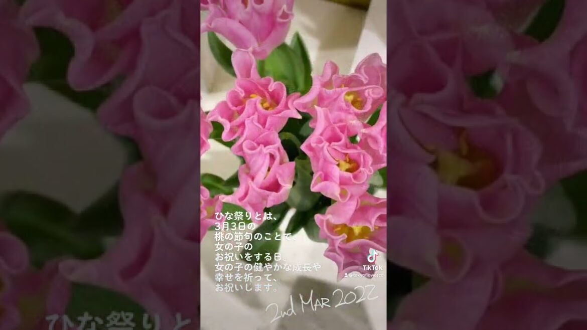 【花動画】ひな祭りイブ 桃の節句に飾りたい花 2nd MAR 2022