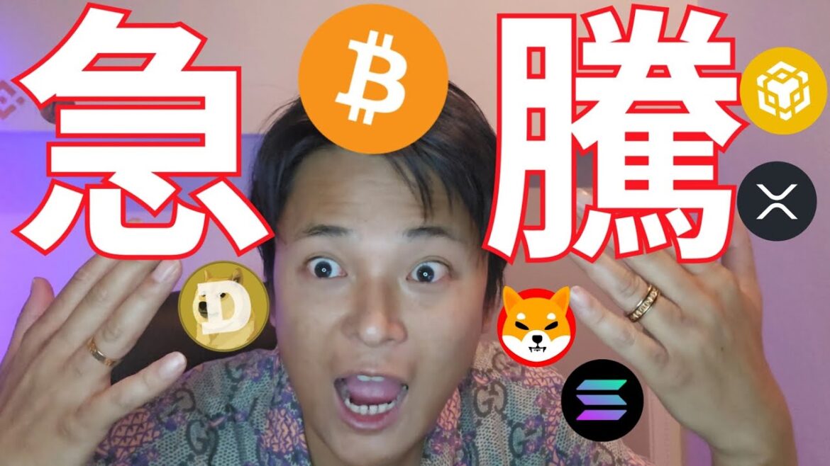 ビットコイン急騰、アルトコインバブルも間近か【仮想通貨 暗号資産 暗号通貨】