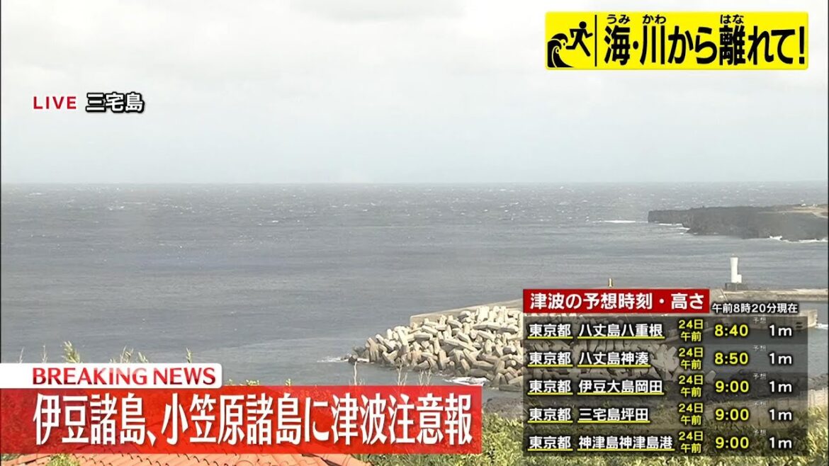 【緊急ライブ】『伊豆諸島・小笠原諸島に津波注意報』 ──ニュースライブ（日テレNEWS LIVE）