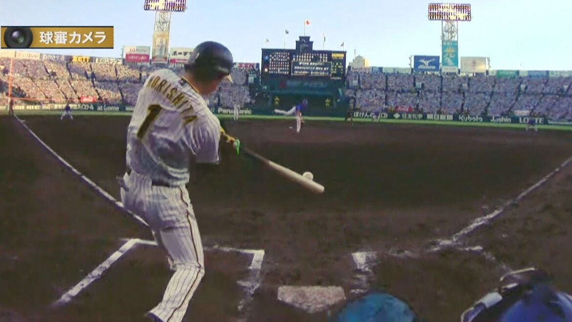 【審判カメラ】甲子園が沸いたあの瞬間。