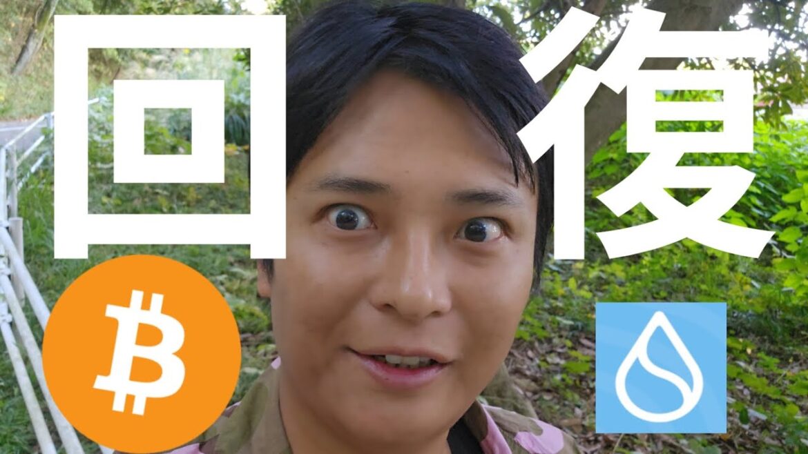 ビットコイン強気相場に回復、SUI(スイ)が最高値更新【仮想通貨 暗号資産 暗号通貨】