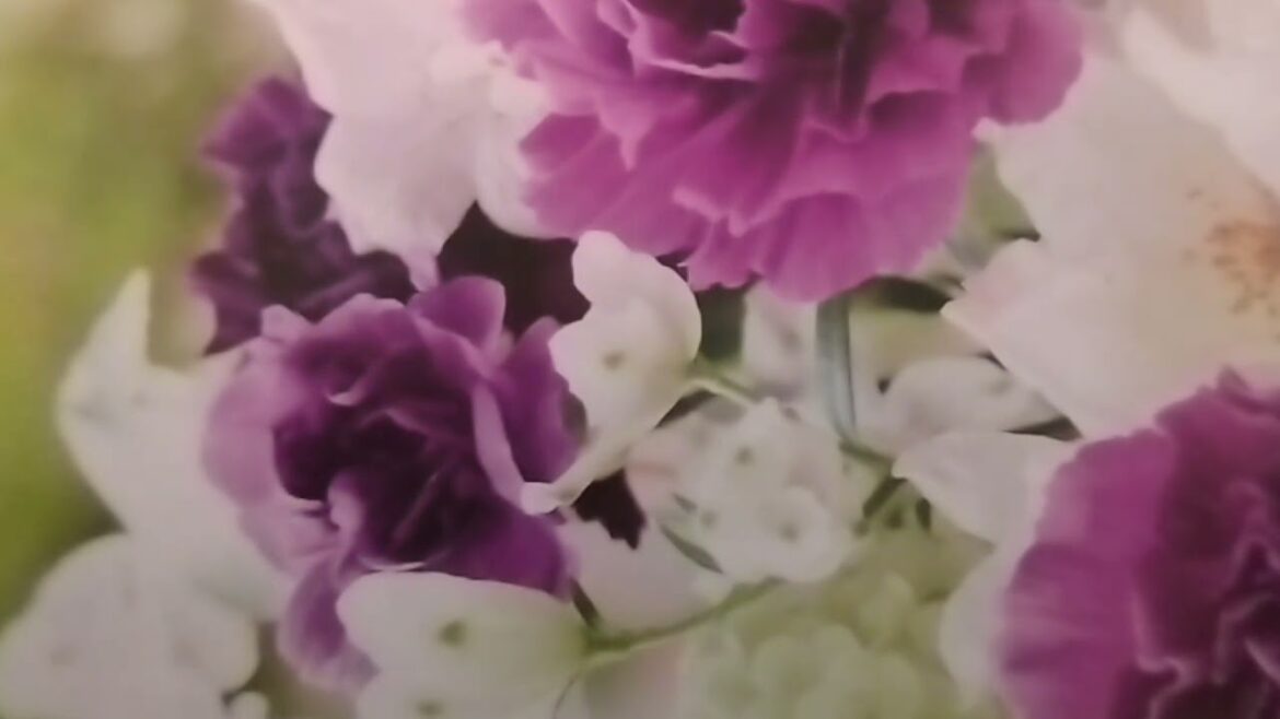 ☆おはなし☆歌ってみた🎵covered by桜(Sakura)🌸🌸🌸