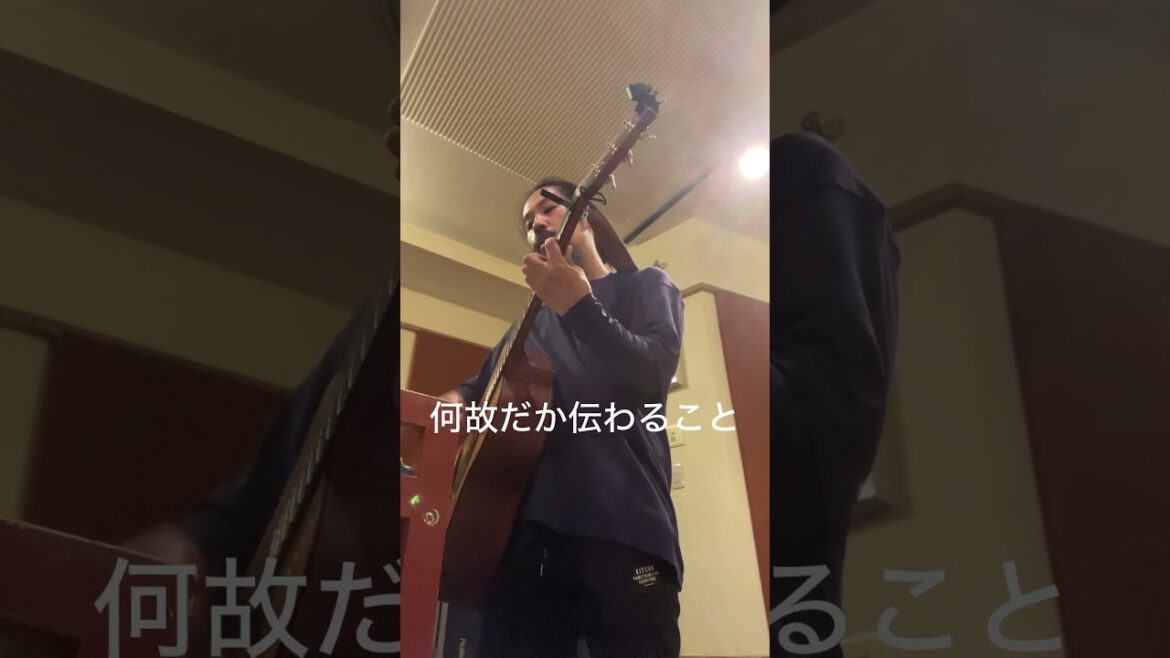 北極星　藤巻亮太　さん　カバー　國井啓丞　くにいけいすけ　弾き語り　アコギ　茨城県
