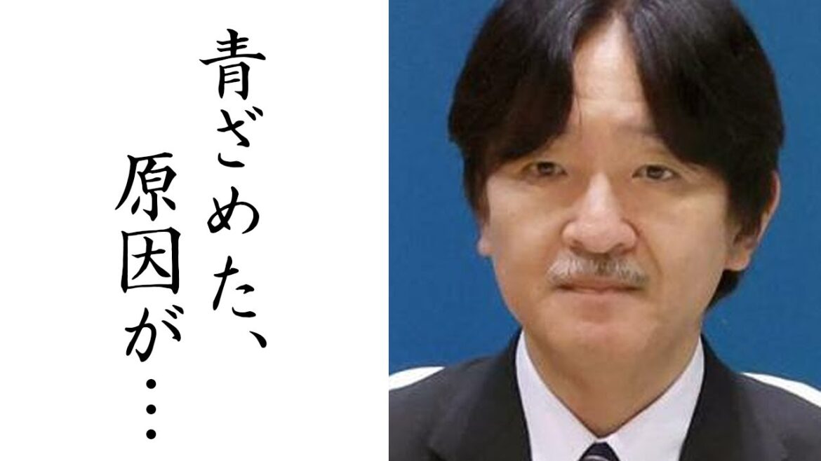 【真実はどこに!?】秋篠宮家のDNA鑑定に国民大注目   秋篠宮家と安西孝之の関係