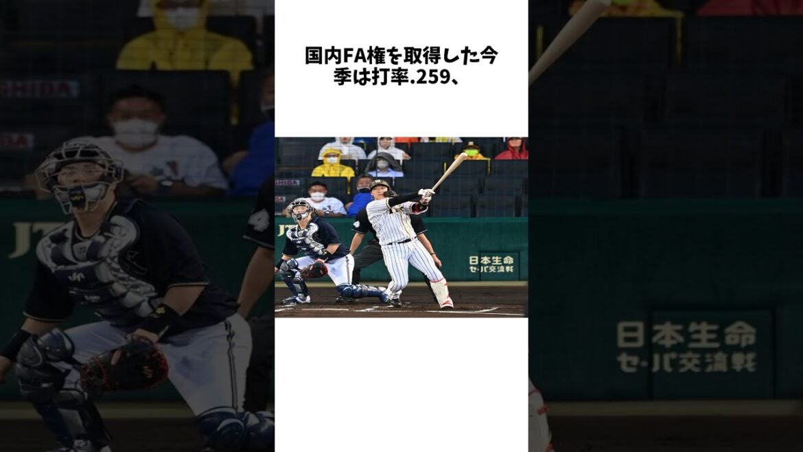【阪神】大山悠輔、FA行使なら争奪戦へ　補強ポイント合うのは   西武、オリックス、広島かに関する雑学 #野球 #shorts #プロ野球