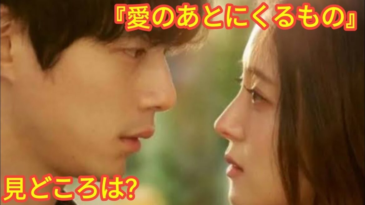 イ・セヨンが坂口健太郎と共演！『愛のあとにくるもの』出演：イ・セヨン、坂口健太郎、ホン・ジョンヒョン、中村アン 大ヒット作『赤い袖先』