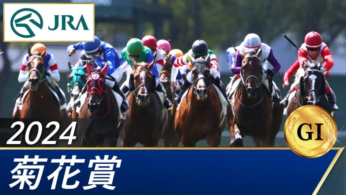 2024年 菊花賞(GⅠ) | 第85回 | JRA公式 2024年 菊花賞(GⅠ) | 第85回 | JRA公式