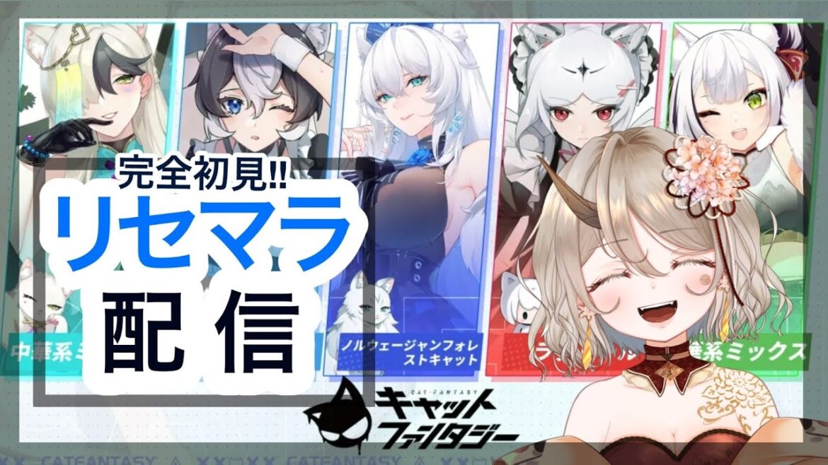 完全初見キャットファンタジー　リセマラ配信　＃柊舞桜