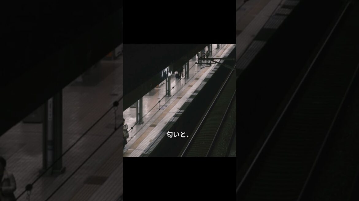 きさらぎ駅   深夜の異界 【都市伝説,心霊】