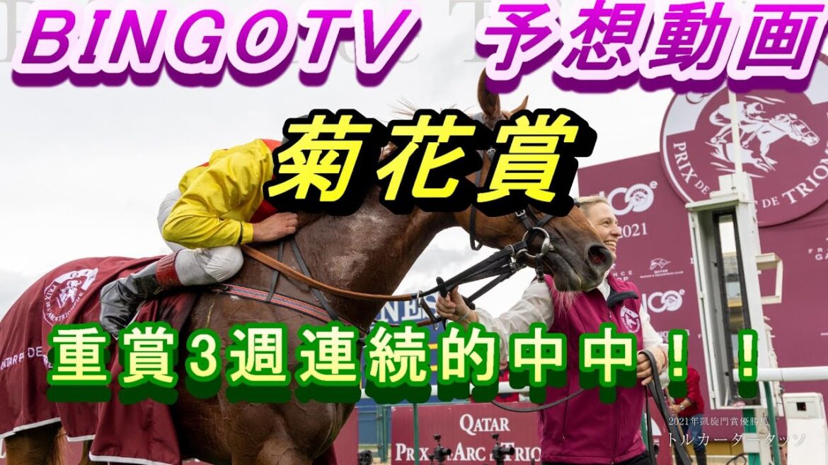 2024　【菊花賞】【競馬予想】重賞3週連続的中中！！