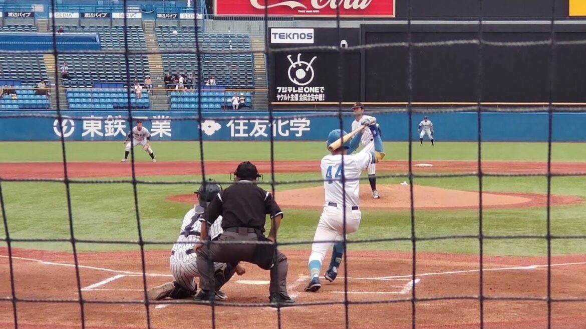 東京大学・中山太陽 マルチヒット 2024 10 27 (宇都宮)