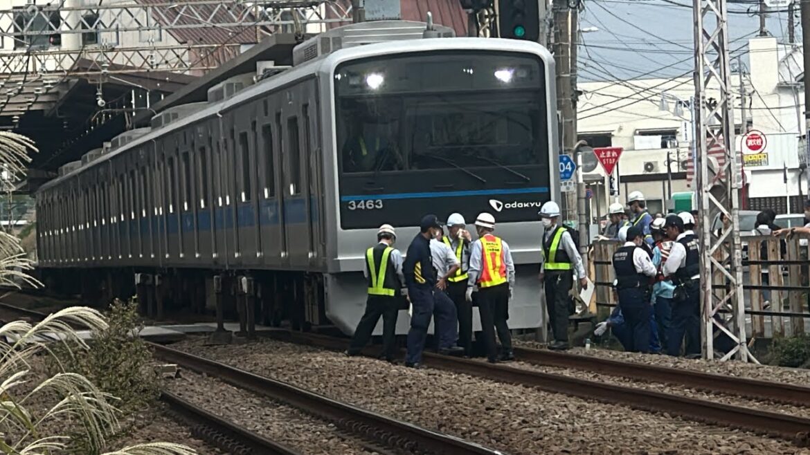 【小田急人身事故】愛甲石田駅〜伊勢原駅の踏切で飛び込み発生直後の緊迫した映像