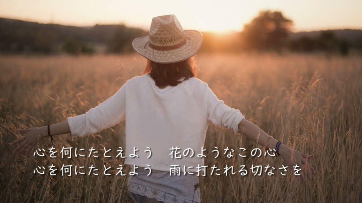 テルーの唄（ゲド戦記）／歌詞付き【フル】男性キー