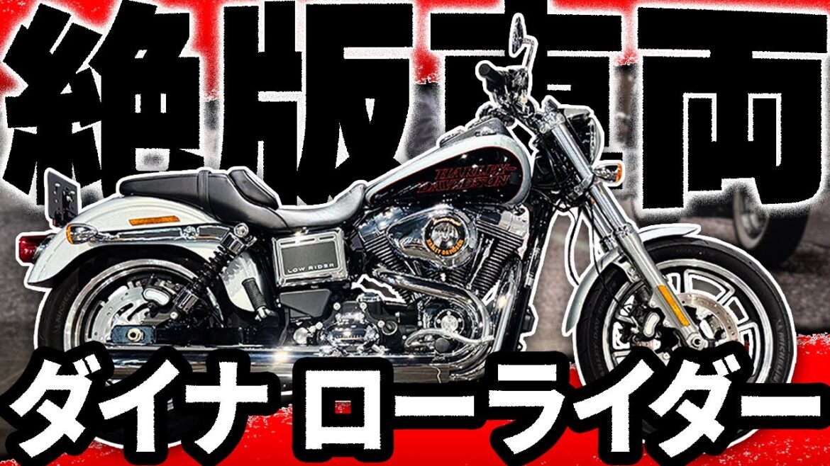 【Harley-Davidson】絶版車両！ダイナ ローライダーのカスタム車両をご紹介！
