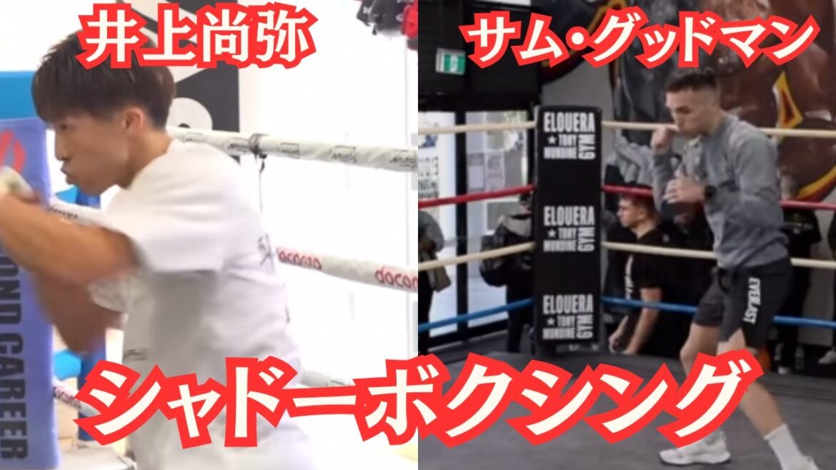 井上尚弥とサム・グッドマンのシャドーボクシングを比較してみた　#naoyainoue #samgoodman　#rizin #boxing 　#ufc