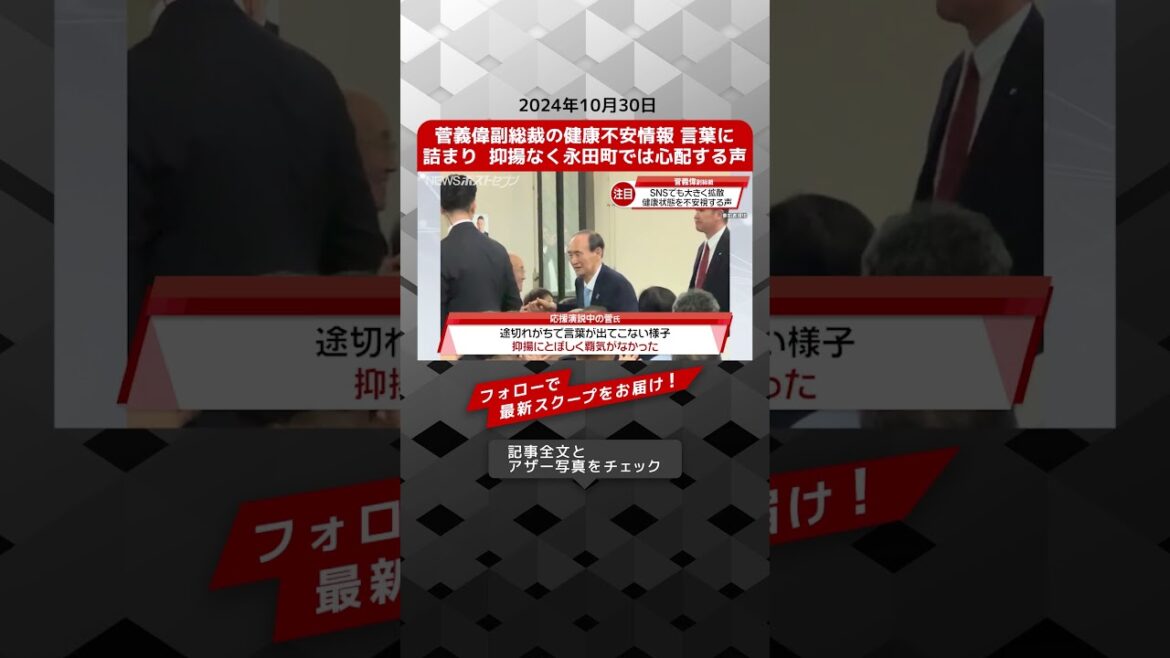 菅義偉副総裁の健康不安情報 言葉に詰まり抑揚なく永田町では心配する声 NEWSポストセブン