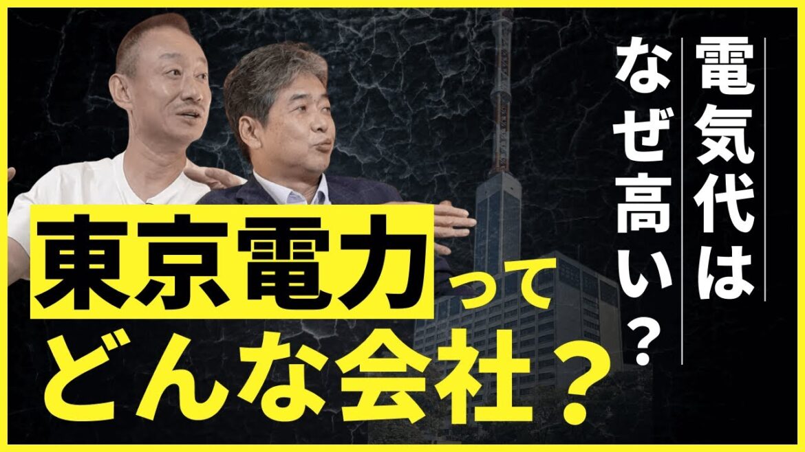 東京電力と自民党の繋がり 電気代はどうやって決まるのか？　#佐藤尊徳 #井川意高 #政経電論