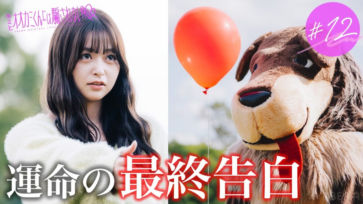 【#12】涙の最終告白。衝撃の結末が... |  最終回は11/3(日)23:59までABEMAで無料配信中🩵 #オオカミくん #恋愛リアリティーショー