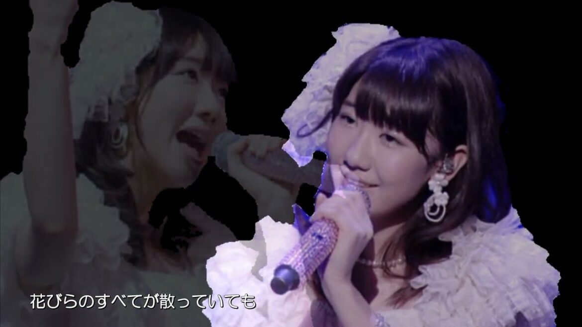 柏木由紀『桜の木になろう』アコースティックVer.