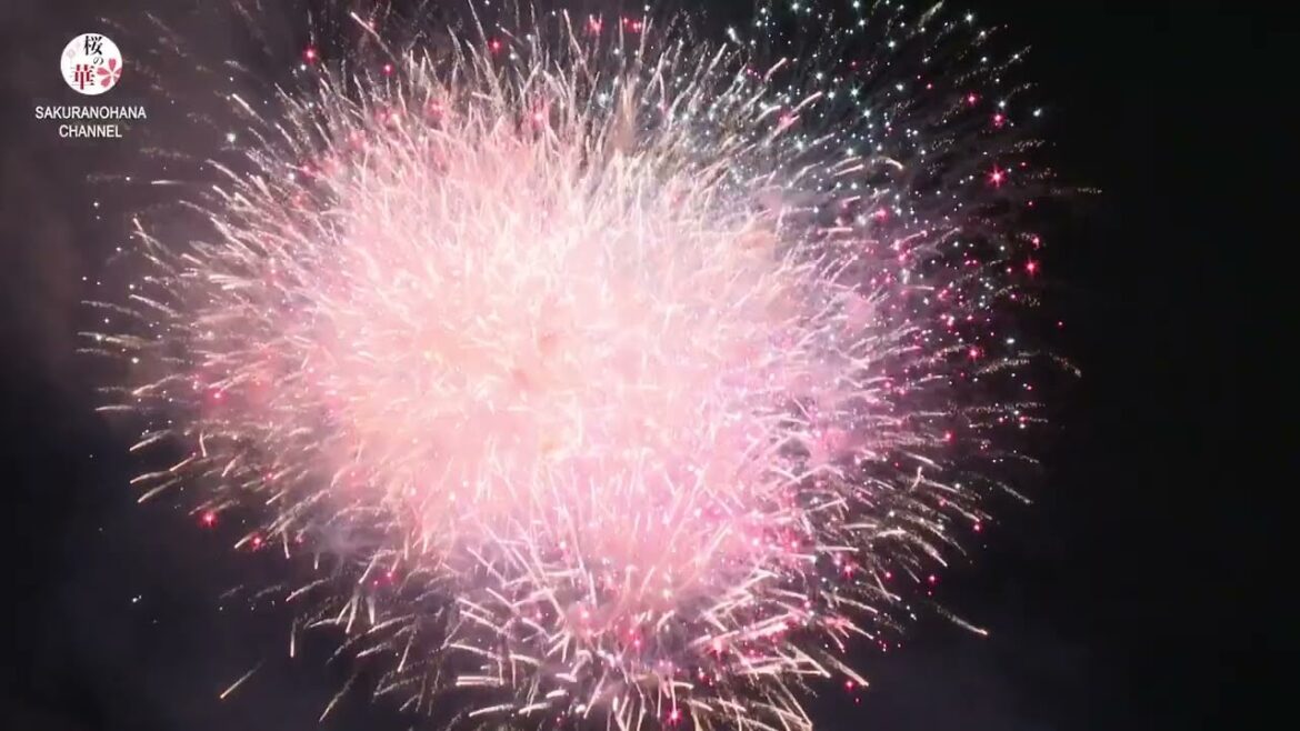 8月10日「2024神宮外苑花火大会」が神宮外苑で開催されました