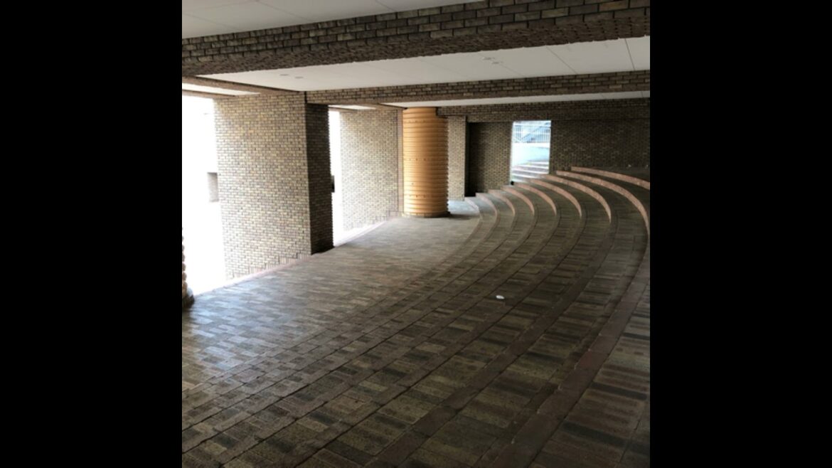 【第30回】明治神宮外苑＋睡蓮みどりさんと5年ぶりに再会