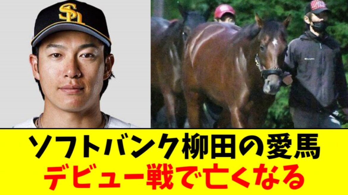 ソフトバンク柳田の愛馬、デビュー戦で亡くなる…