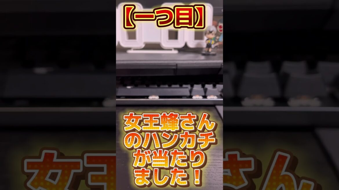 女王蜂さんのグッズを購入！【ネット通販】2つ買ったので開封していく〜！果たして中身は？＃女王蜂＃アヴちゃん