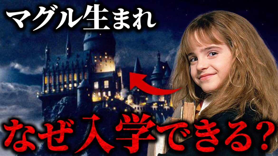 意外と知らないホグワーツへの入学フローをまとめてみた【ハリーポッター】