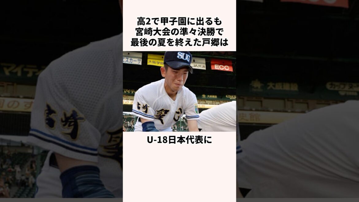 「スカウトを悩ませた」ブン投げ戸郷翔征に関する雑学#野球#野球解説 #日本の野球選手