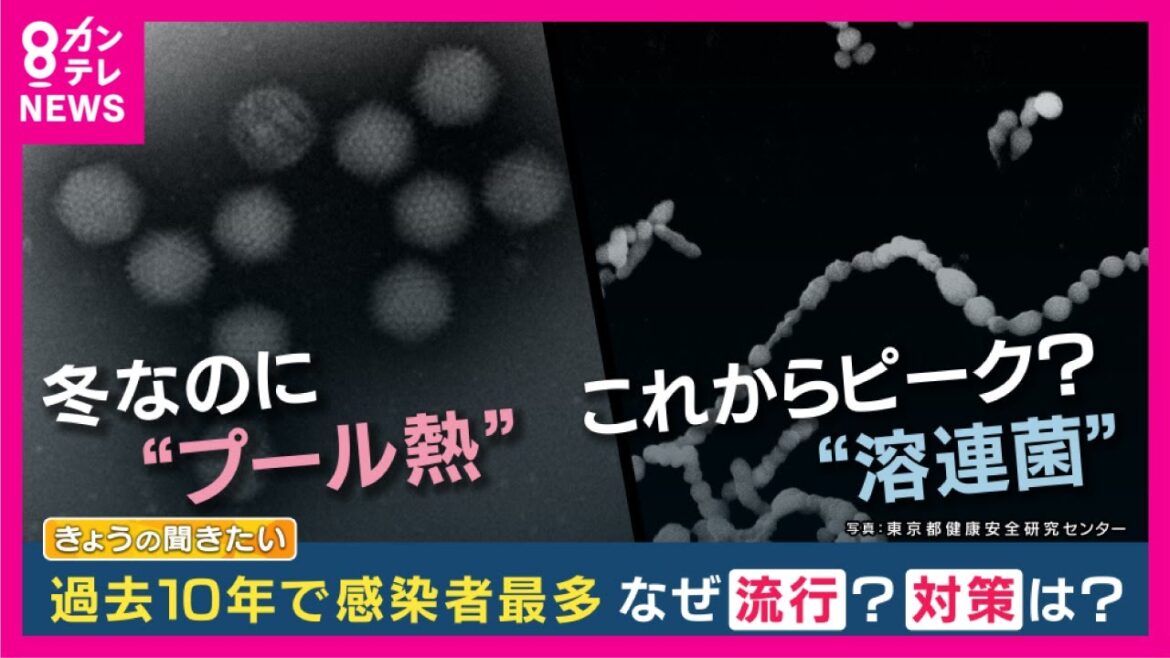【プール熱】過去10年で最多　同時に「溶連菌」も流行　「３年間のコロナが大きかったんじゃないか」と医師　生活様式の変化で感染広がる　対策は？専門家解説【関西テレビ】