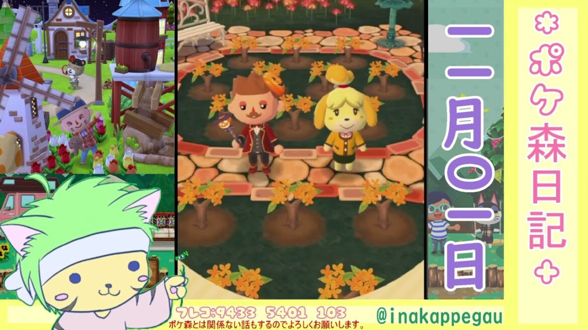 【ポケ森日記】6年11月01日🤔マイキャンパーカード #ポケ森 #どうぶつの森