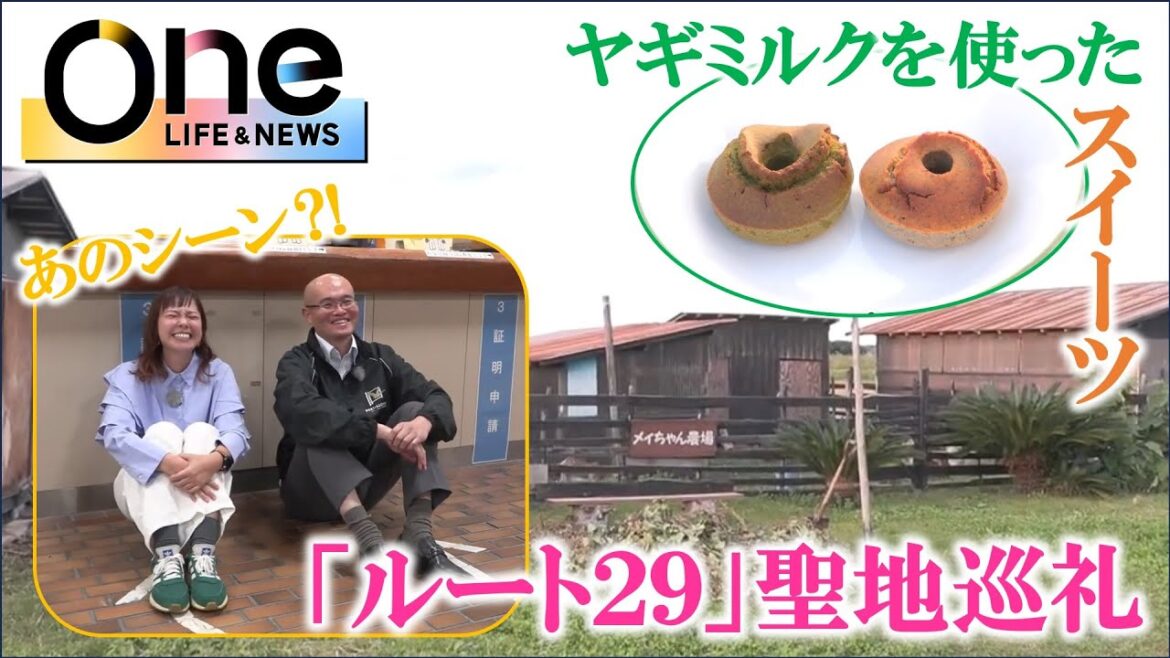 【映画ルート29】綾瀬はるかさん主演で鳥取県内を中心に撮影が行われた映画のロケ地を紹介 【映画ルート29】綾瀬はるかさん主演で鳥取県内を中心に撮影が行われた映画のロケ地を紹介