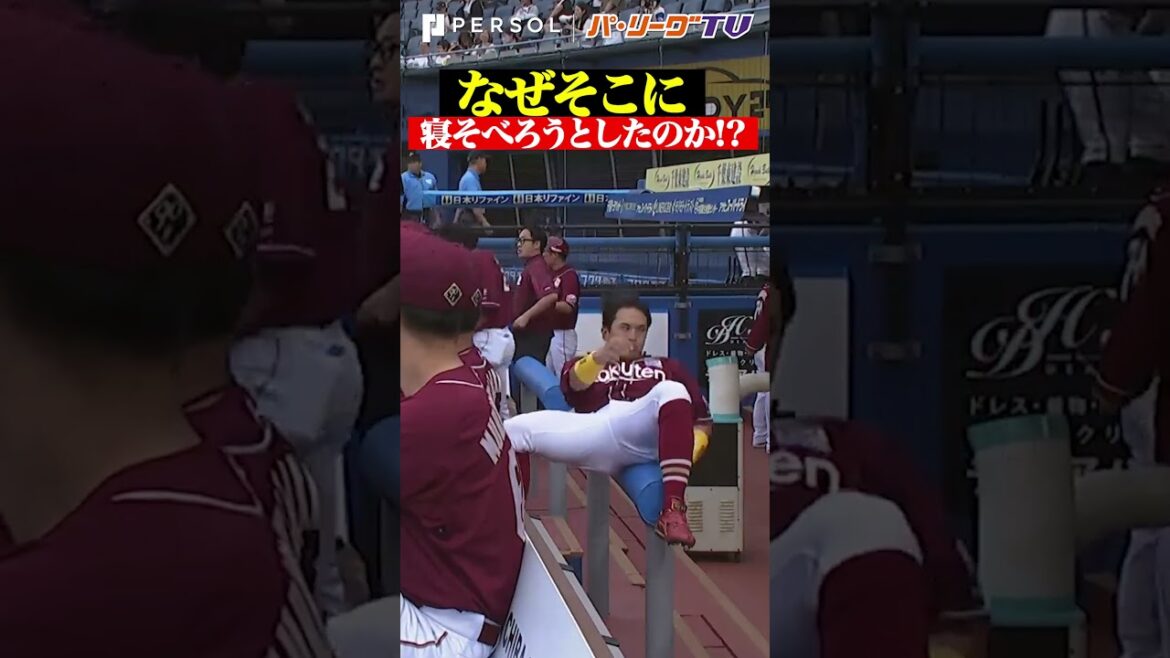 なぜそこに寝そべろうとしたのか？ #shorts