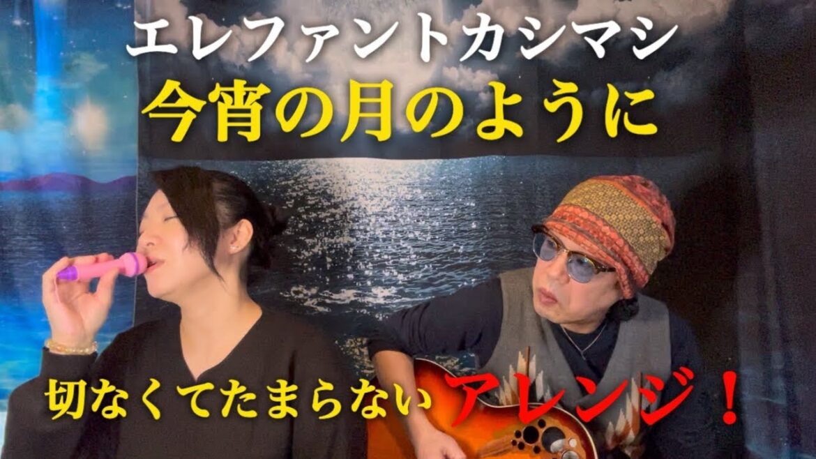 エレファントカシマシ/今宵の月のように(ギター1本と生歌で切ないアレンジ！)