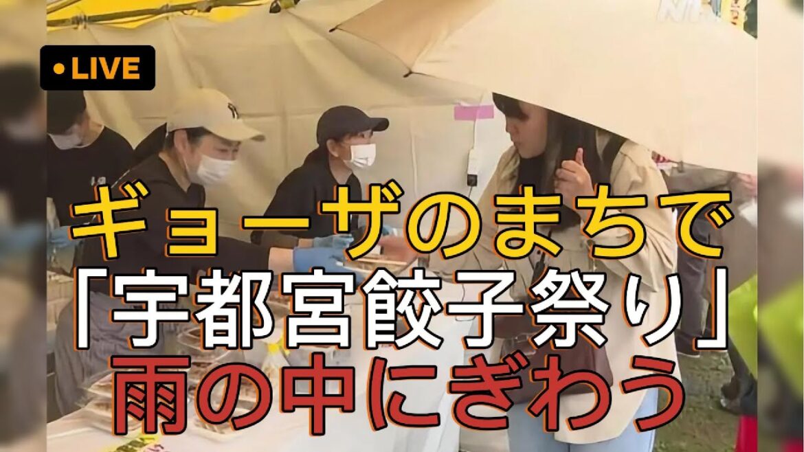 ギョーザのまちで「宇都宮餃子祭り」雨の中にぎわう