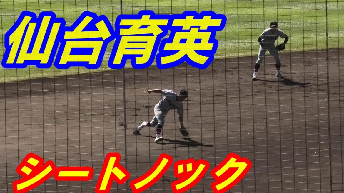 ハイレベルシートノック　仙台育英 (2024年秋季東北大会）