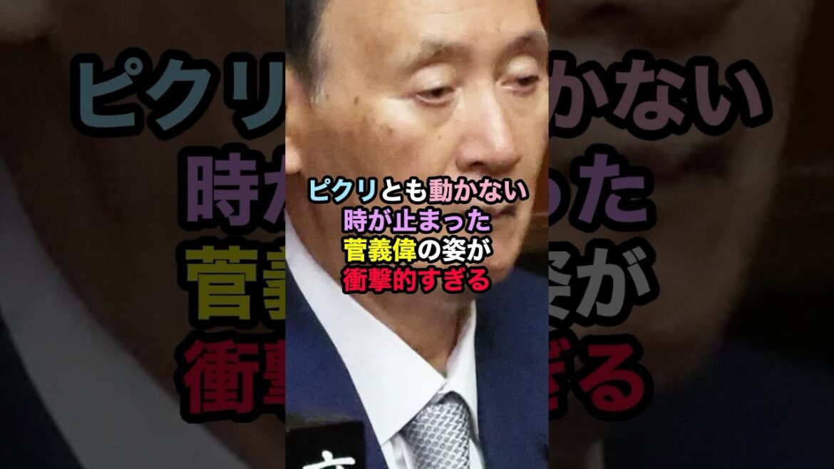 ピクリとも動かない時が止まった菅義偉の姿が衝撃的すぎる #菅義偉 #政治 #自民党