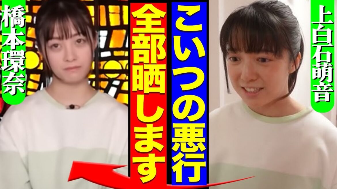 橋本環奈が『千と千尋の神隠し』の舞台裏で見せた態度や言動がヤバすぎる…共演者のみならず制作関係者全員を敵に回す内容に絶句【芸能】