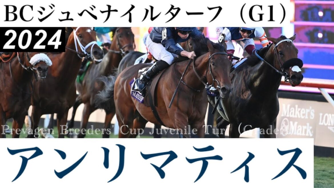 良血馬アンリマティスが待望のG1制覇【BCジュベナイルターフ2024】/ Henri Matisse【Prevagen Breeders' Cup Juvenile Turf 2024】